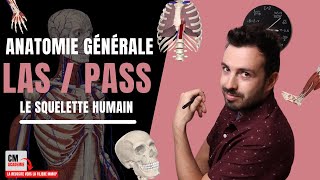 ANATOMIE GENERALE 🦴  Le squelette humain crâne ulna radius patella fibula sternum [upl. by Aleekat]