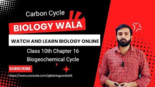 Class 10  Biology  Chapter 16  Lecture 4  Biogeochemical Cycles  Carbon Cycle [upl. by Finn]