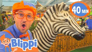 Blippi Learns Jungle Animals  Animals For Kids  Educational Videos For Children [upl. by Darej]