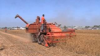 AllisChalmers 100 AllCrop Combine [upl. by Hartman]