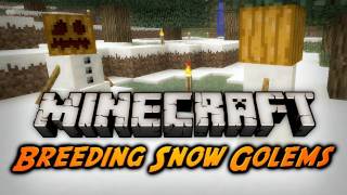 Minecraft Snow Golem Breeding Teleporting Item Repair Beta 19 PreRelease 2 [upl. by Tandi]