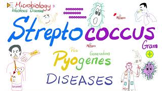 Streptococcus pyogenes diseases  Microbiology amp Infectious Diseases 🧫 [upl. by Tracy]