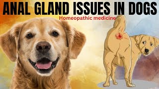 Anal gland issues in dogs । Homeopathic medicine । Dog market is like share market । [upl. by Edrick]