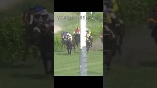 Guess who well win the race Lahore Winter Meeting 2024 horseracing racing lrchorserace sports [upl. by Alilak]