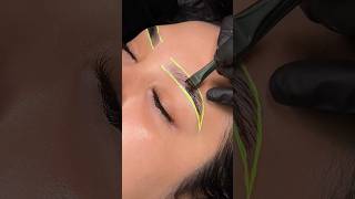 Brow lamination wax amp stain 💖✨ browwaxing browlaminationtutorial browlamination [upl. by Hultgren]