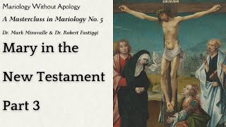 Mary in the New Testament Part 3 A Masterclass in Mariology No 5  Mariology Without Apology [upl. by Otreblide296]