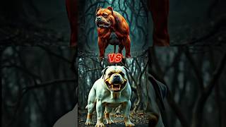 Pitbull vs Rottweiler Fight 👿💀 shorts trending dogfights [upl. by Inanak]