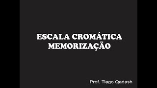 AULA DE CANTO  Memorização da Escala Cromática [upl. by Dloreh]