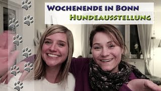 WochenendVlog  Ausstellung  Cairn Terrier  Hundekanal [upl. by Ahselrac]