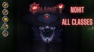 Terraria Calamity Ceaseless Void Master Death Mode No Hit All Classes [upl. by Ohnuj]