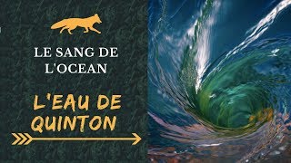 EAU DE QUINTON  Bienfaits  Le plasma de la mer  Hypertonie Isotonie  Mineraux [upl. by Wernher175]