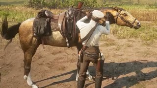 CABALLO DORADO  RED DEAD REDEMPTION 2 [upl. by Avril]