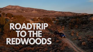 Episode 1 Roadtrip to the Redwoods [upl. by Nollat]