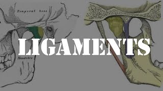 Ligaments of temporomandibular joint [upl. by Gariepy]