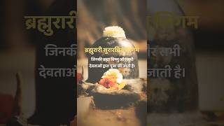 Lingashtakam  Lord Shiva Songs  Brahma Murari Surarchita Lingam  Hindi Devotional Songs shiv [upl. by Nref]