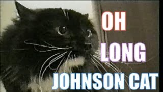 Talking Cat Saying quotOh Long Johnsonquot [upl. by Cleave]