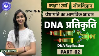 DNA Replication Part 2  Molecular Basis of Inheritance  Class 12 Biology Chapter 6  Hindi Medium [upl. by Ydderf]