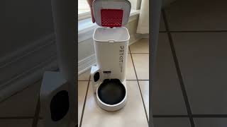 PETKIT Automatic Pet Feeder with HD Camera The GameChanger for Busy Pet Owners [upl. by Barri]