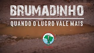 Brumadinho Quando o Lucro Vale Mais [upl. by Leesa]