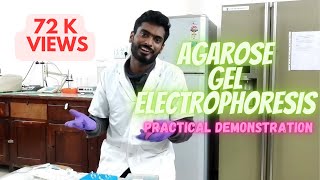 Agarose Gel Electrophoresis step by step easy guide [upl. by Amsden]