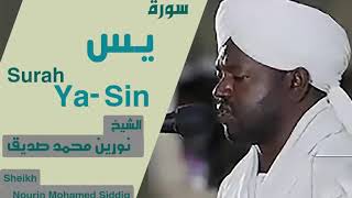 Surah Yasin  Heart Touching  Sheikh Noreen Muhammad Siddique [upl. by Juno947]