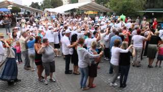 WochenKurier  FlashmobAnnemariePolka in Lübbenau [upl. by Narton]