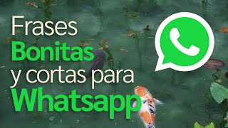 Frases Bonitas y cortas para Whatsapp 2024 4k [upl. by Aiyt]