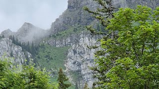 Zettenalpenegg Sigriswiler Rothorn [upl. by Nurse144]