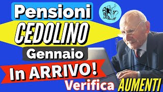 PENSIONI 👉 CEDOLINO GENNAIO CON GLI AUMENTI IN ARRIVO❗️Verifica NUOVI IMPORTI NETTI della pensione ✅ [upl. by Merrili]