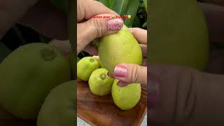 Yummy fruit fruit green pearfruit fruits fruitlover asmr shortvideo [upl. by Ecinwahs]