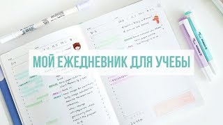 ЕЖЕДНЕВНИК ДЛЯ УЧЕБЫ  STUDY PLANNER [upl. by Llirpa]