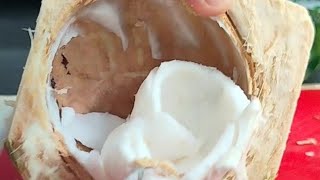 Virgies Vlog is live Coconut cuttingCutting coconutOpening coconutTropical fruit [upl. by Anaynek]