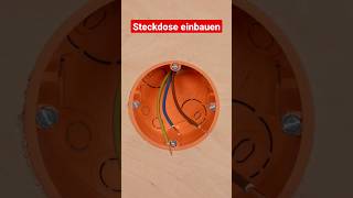 Steckdose einbauen shorts steckdose elektronik [upl. by Hanid]