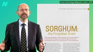 Is Sorghum a Healthy Grain [upl. by Assi]