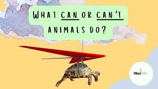 What Can or Cant Animals Do English Grammar for Kids  Funny Animals [upl. by Harding]