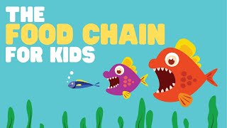 The Food Chain for Kids  What is a food chain  Come learn about producers consumers and more [upl. by Liatnahs183]