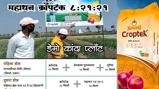 महाधन क्राॅपटेक 82121कृषिक प्रदर्शनामधील डेमो कांदा प्लाॅट  mahadhan croptek krushik exhibition [upl. by Jeramie366]