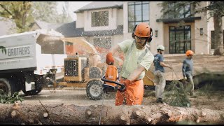 Sioux Falls Tree Removal Services by Weller Brothers Landscaping [upl. by Cleary]