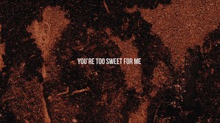 Hozier  Too Sweet Official Lyric Video [upl. by Bunce]