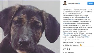 Alejandro Sanz amplía su familia [upl. by Va]