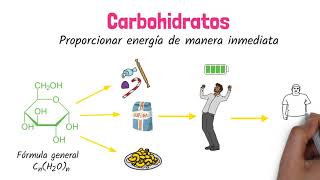 Carbohidratos Biomoléculas [upl. by Enylodnewg]