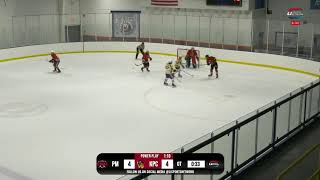 SCHSHL JV Hockey  Pat Med vs Kings Park Commack [upl. by Noyad]