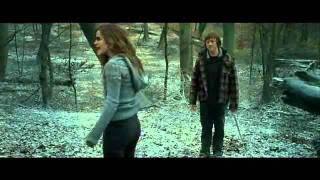 Ron Returns Clip  Deathly Hallows Part 1 [upl. by Arised]