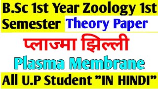 Plasma MembraneStructureChemical CompositionModel of plasma Membrane Functionin hindi l [upl. by Gerson371]