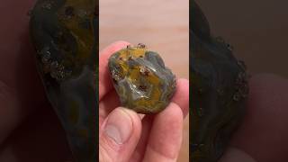 Lovely limonite stained agate found on beach shorts agate rockhounding geology [upl. by Ellesor892]