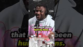 Francisngannou on lions in africa [upl. by Anitan518]