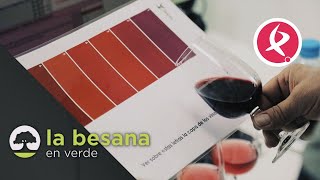 Los vinos de calidad se catan en Extremadura  La besana en verde [upl. by Isman]