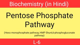 Pentose phosphate pathway in hindi  L6  Hexo monophosphate pathway  Biochemistry 2nd sem  HMP [upl. by Danie152]