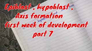 Epiblast Hypoblast Axis formation first week of development part 7 embryology [upl. by Zurheide]