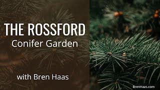 The Rossford Ohio Conifer Garden [upl. by Skoorb]